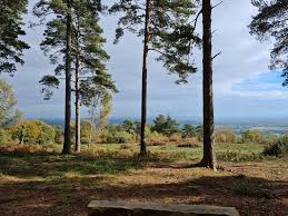 Image result for Mid Surrey Ramblers
