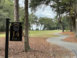 Image result for Dolphina Gc