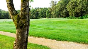 Image result for Downshire Golf Complex