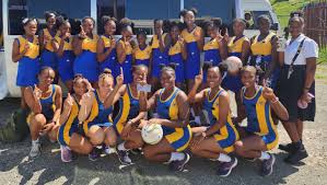 Image result for Highworth Netball Club