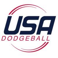 Image result for The Dodgeball Company