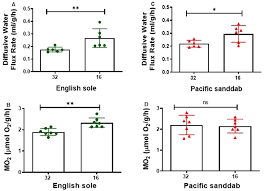 Image result for Parophrys vetulus