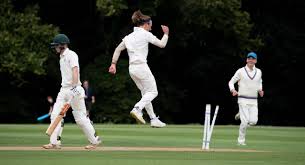 Image result for Malvern Cricket Club