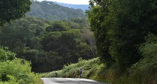 Image result for Mid-Devon Cc