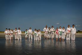 Image result for Devines Martial Arts