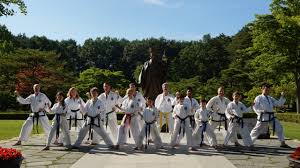 Image result for I T F Taekwondo (Andover)