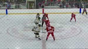 Image result for Shrewsbury Hockey Club