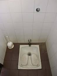 Image result for german toilet