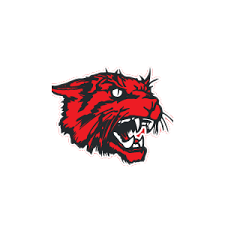 Image result for West London Wildcats