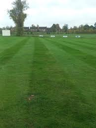 Image result for Forton Cricket Club