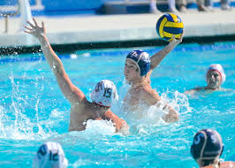 Image result for Basingstoke Bluefins Water Polo Club