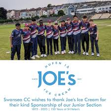 Image result for Swansea Cricket Club