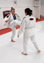 Image result for Judo/Ju-Jitsu Self Defence