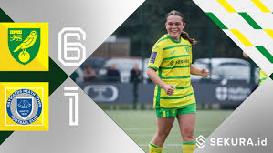 Image result for Haywards Heath Town Ladies Football Club