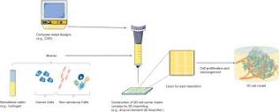 Application of three-dimensional (3D) bioprinting in anti-cancer ...