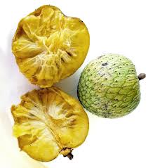 Attēlu rezultāti vaicājumam “Libanotis montana fruit”