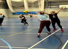 Image result for Watford Premier Netball Club