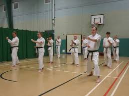 Image result for Springwood Karate