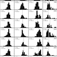 Image result for Pachymetopon grande