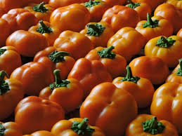 Afbeeldingsresultaat voor topepo giallo sweet pepper