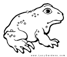 Frog coloring page