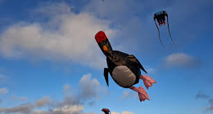 Image result for White Horse Kite Fliers Club