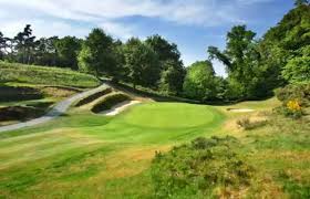 Image result for Hindhead Golf Club