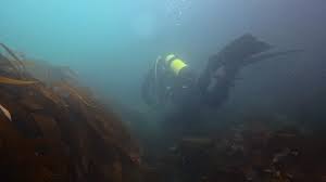 Image result for Torbay Sub-Aqua Club