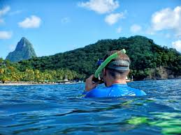 Image result for St. Albans Snorkelling Club (SASC)