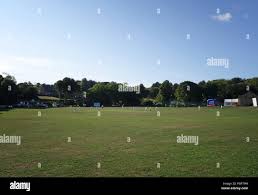 Image result for Bradfield Cricket Club