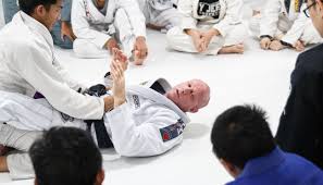 Image result for Derwent Jujitsu Academies