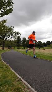 Image result for Wee County Harriers