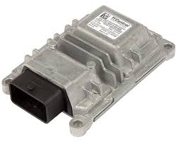 Image result for Speedwell Ttc