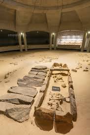 Image result for 土井ヶ浜遺跡　視線　故郷