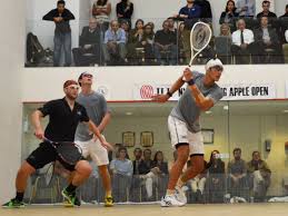 Image result for York Squash Rackets Club