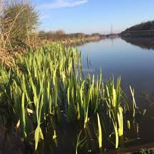 Image result for Blackpool Boat Angling Club