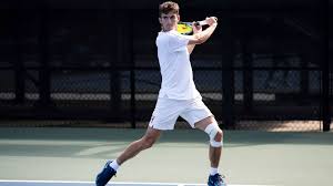 Image result for Lane Tennis Club Ltd