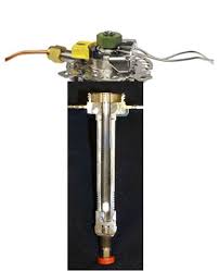 Image result for Splitz Gc