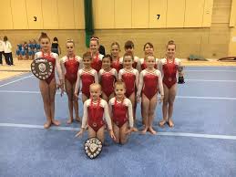 Image result for Horsham Gymnastics Club