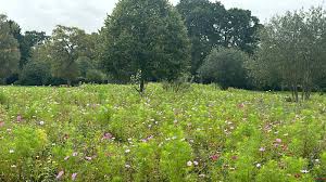 Image result for Chandlers Ford Badminton Club