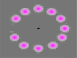 Image result for Lilac Chaser