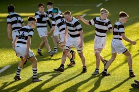 Image result for Belvedere Park Junior Football Club