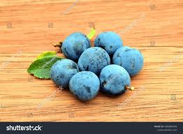 Attēlu rezultāti vaicājumam “Prunus domestica subsp. insitita fruit”