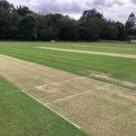 Image result for Mellis Cricket Club