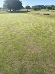 Image result for Catterick Golf Club Ltd