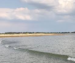 Image result for Torquay Rowing Club