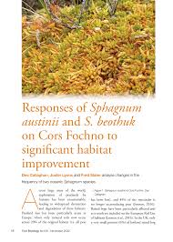 Attēlu rezultāti vaicājumam “Sphagnum austinii”