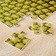 Attēlu rezultāti vaicājumam “Helianthus annuus fruit”