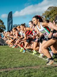 Image result for Herne Hill Harriers