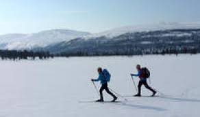 Image result for Scandinavian slope and cross country skiing